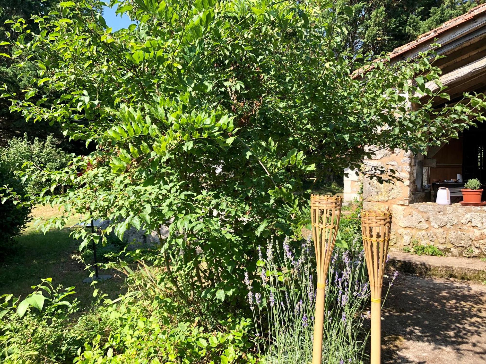 Le Mas Brantôme מראה חיצוני תמונה